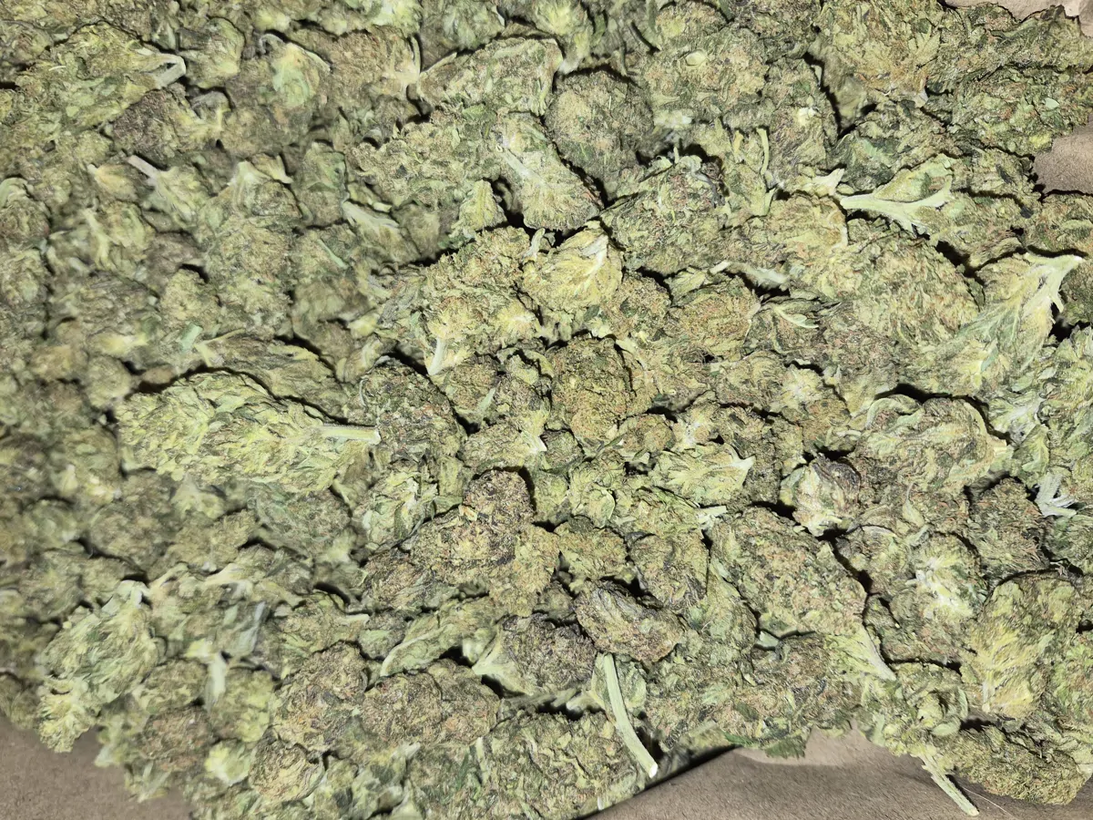 Blue Dream Flower